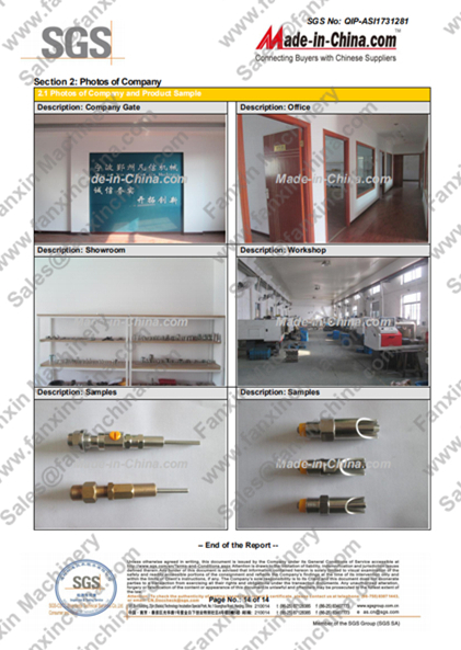 Fanxin SGS Certification report