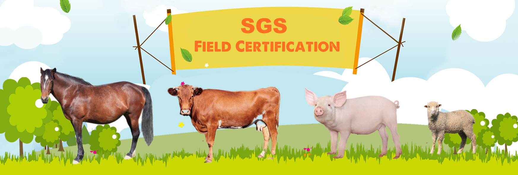 SGS field certification enterprise
